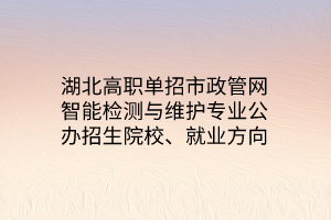 湖北高職單招市政管網(wǎng)智能檢測(cè)與維護(hù)專業(yè)公辦招生院校、就業(yè)方向