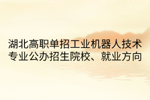 湖北高職單招工業(yè)機(jī)器人技術(shù)專業(yè)公辦招生院校、就業(yè)方向
