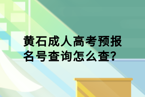 黃石成人高考預(yù)報名號查詢怎么查？