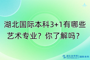 湖北國(guó)際本科3+1有哪些藝術(shù)專業(yè)？你了解嗎？