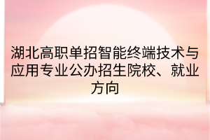 湖北高職單招智能終端技術(shù)與應(yīng)用專業(yè)公辦招生院校、就業(yè)方向