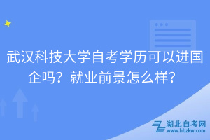 武漢科技大學(xué)自考學(xué)歷可以進(jìn)國企嗎？就業(yè)前景怎么樣？