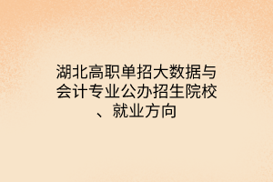 湖北高職單招大數(shù)據(jù)與會(huì)計(jì)專業(yè)公辦招生院校、就業(yè)方向