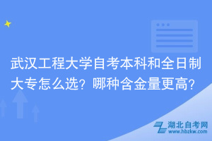 武漢工程大學(xué)自考本科和全日制大專怎么選？哪種含金量更高？