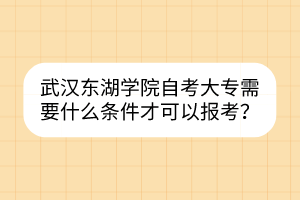 武漢東湖學院自考大專需要什么條件才可以報考？
