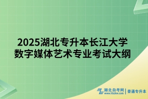 2025年長江大學普通專升本數字媒體藝術專業(yè)考試大綱