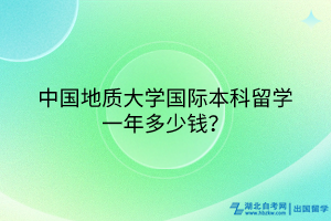 中國(guó)地質(zhì)大學(xué)國(guó)際本科留學(xué)一年多少錢？