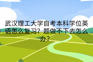武漢理工大學(xué)自考本科學(xué)位英語怎么復(fù)習(xí)？題做不下去怎么辦？