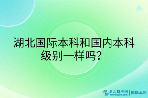 湖北國(guó)際本科和國(guó)內(nèi)本科級(jí)別一樣嗎？