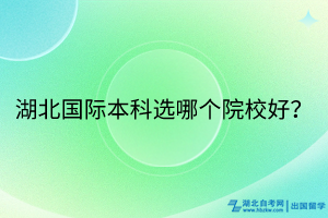 湖北國際本科選哪個院校好？
