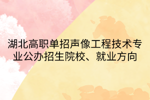 湖北高職單招聲像工程技術專業(yè)公辦招生院校、就業(yè)方向