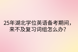 25年湖北學位英語備考期間，來不及復習詞組怎么辦？