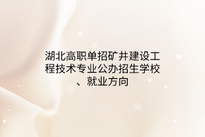 湖北高職單招礦井建設(shè)工程技術(shù)專(zhuān)業(yè)公辦招生學(xué)校、就業(yè)方向