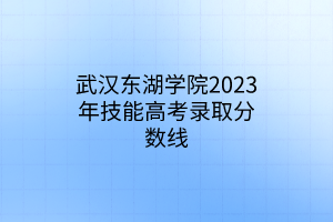 武漢東湖學(xué)院2023年技能高考錄取分數(shù)線