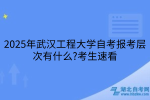 2025年武漢工程大學(xué)自考報(bào)考層次有什么?考生速看