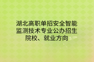湖北高職單招安全智能監(jiān)測(cè)技術(shù)專(zhuān)業(yè)公辦招生院校、就業(yè)方向