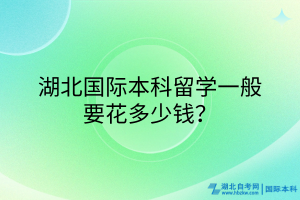 湖北國(guó)際本科一般要花多少錢(qián)？