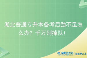 湖北普通專升本備考后勁不足怎么辦？千萬別掉隊！