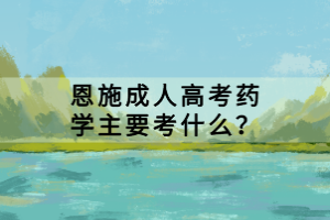恩施成人高考藥學主要考什么？