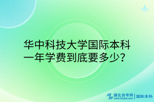 華中科技大學(xué)國(guó)際本科，一年學(xué)費(fèi)到底要多少？