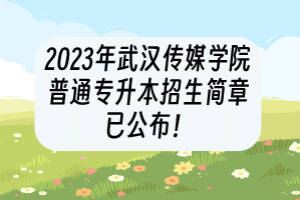 2023年武漢傳媒學(xué)院普通專(zhuān)升本招生簡(jiǎn)章已公布！