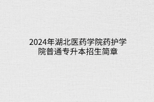 2024年湖北經(jīng)濟(jì)學(xué)院法商學(xué)院普通專升本招生簡(jiǎn)章