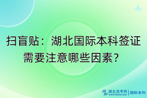 掃盲貼：湖北國際本科簽證需要注意哪些因素？