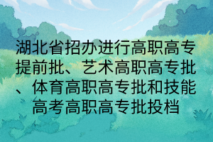 湖北省招辦進(jìn)行高職高專提前批、藝術(shù)高職高專批、體育高職高專批和技能高考高職高專批投檔