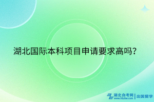 湖北國際本科項目申請要求高嗎？