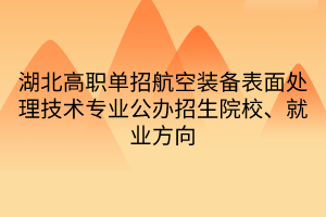 湖北高職單招航空裝備表面處理技術(shù)專業(yè)公辦招生院校、就業(yè)方向