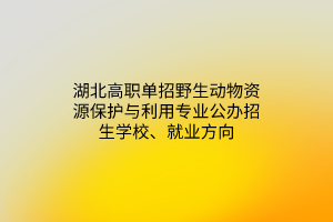湖北高職單招野生動(dòng)物資源保護(hù)與利用專業(yè)公辦招生學(xué)校、就業(yè)方向