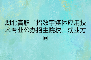 湖北高職單招數(shù)字媒體應(yīng)用技術(shù)專業(yè)公辦招生院校、就業(yè)方向