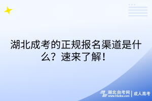 湖北成考的正規(guī)報名渠道是什么？速來了解！