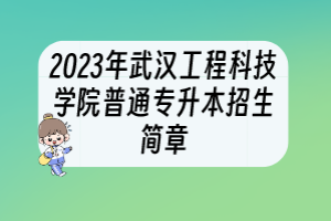 2023年武漢工程科技學(xué)院普通專(zhuān)升本招生簡(jiǎn)章