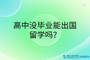 高中沒畢業(yè)能出國留學(xué)嗎？