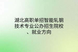 湖北高職單招智能軋鋼技術(shù)專業(yè)公辦招生院校、就業(yè)方向