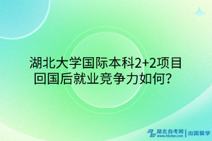 湖北大學(xué)國(guó)際本科2+2項(xiàng)目回國(guó)后就業(yè)競(jìng)爭(zhēng)力如何？