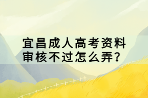 宜昌成人高考資料審核不過怎么弄？