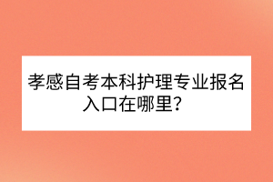 孝感自考本科護(hù)理專業(yè)報(bào)名入口在哪里？