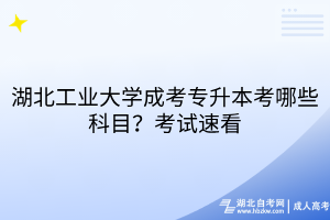 湖北工業(yè)大學(xué)成考專升本考哪些科目？考試速看