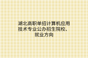 湖北高職單招計算機應(yīng)用技術(shù)專業(yè)公辦招生院校、就業(yè)方向