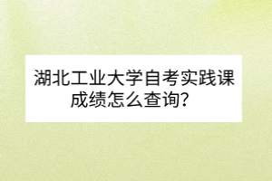 湖北工業(yè)大學(xué)自考實踐課成績怎么查詢？