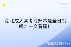 湖北成人高考專(zhuān)升本是全日制嗎？一文看懂！