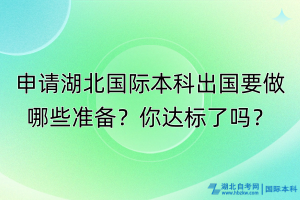 申請(qǐng)湖北國(guó)際本科出國(guó)要做哪些準(zhǔn)備？你達(dá)標(biāo)了嗎？