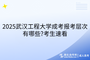 2025武漢工程大學(xué)成考報考層次有哪些?考生速看