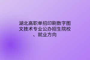 湖北高職單招印刷數字圖文技術專業(yè)公辦招生院校、就業(yè)方向