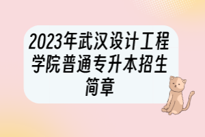 ?2023年武漢設(shè)計(jì)工程學(xué)院普通專(zhuān)升本招生簡(jiǎn)章
