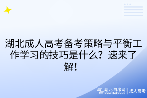 湖北成人高考備考策略與平衡工作學習的技巧是什么？速來了解！