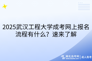 2025武漢工程大學(xué)成考網(wǎng)上報名流程有什么？速來了解