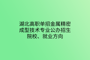 湖北高職單招金屬精密成型技術(shù)專業(yè)公辦招生院校、就業(yè)方向